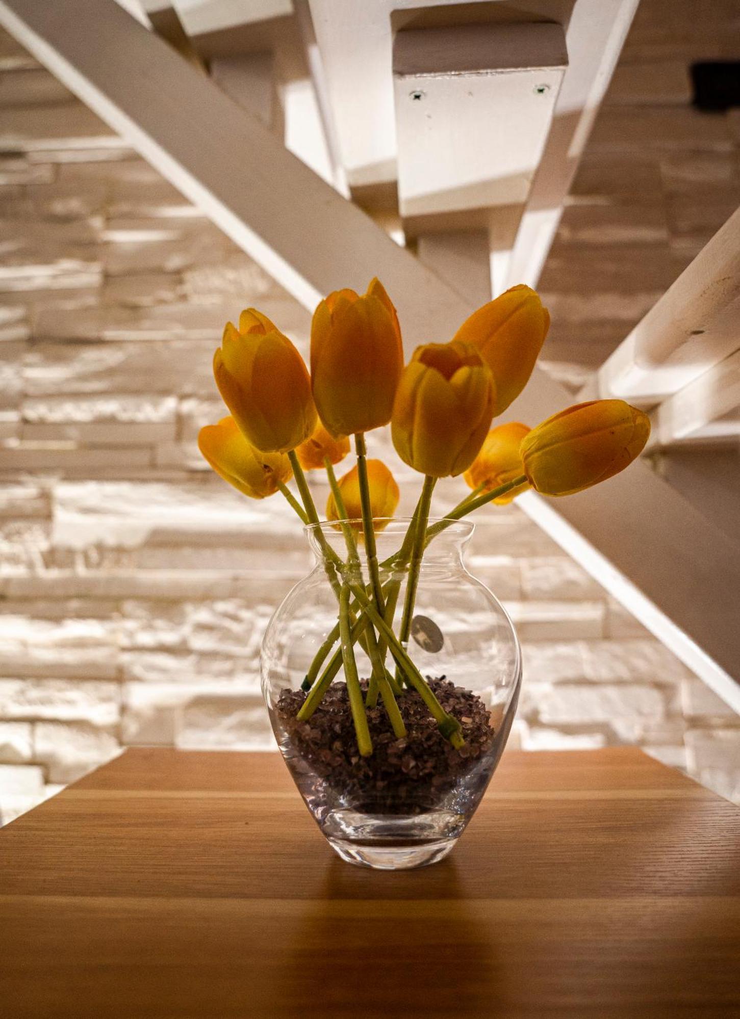 My Cozy Home Brindisi Ngoại thất bức ảnh